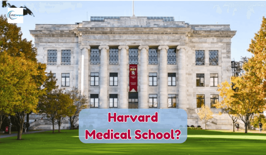 Harvard medical school