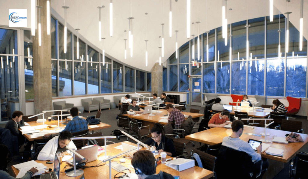 Humanities and Social Sciences Program by Princeton's University | Top 7 unique features 2 Princeton University 1