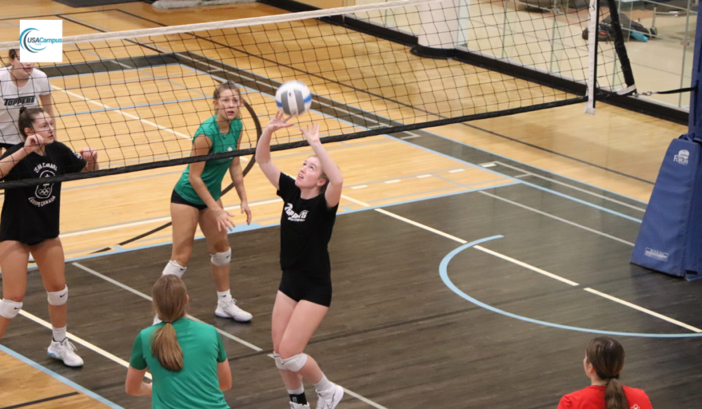 Volleyball Alberta