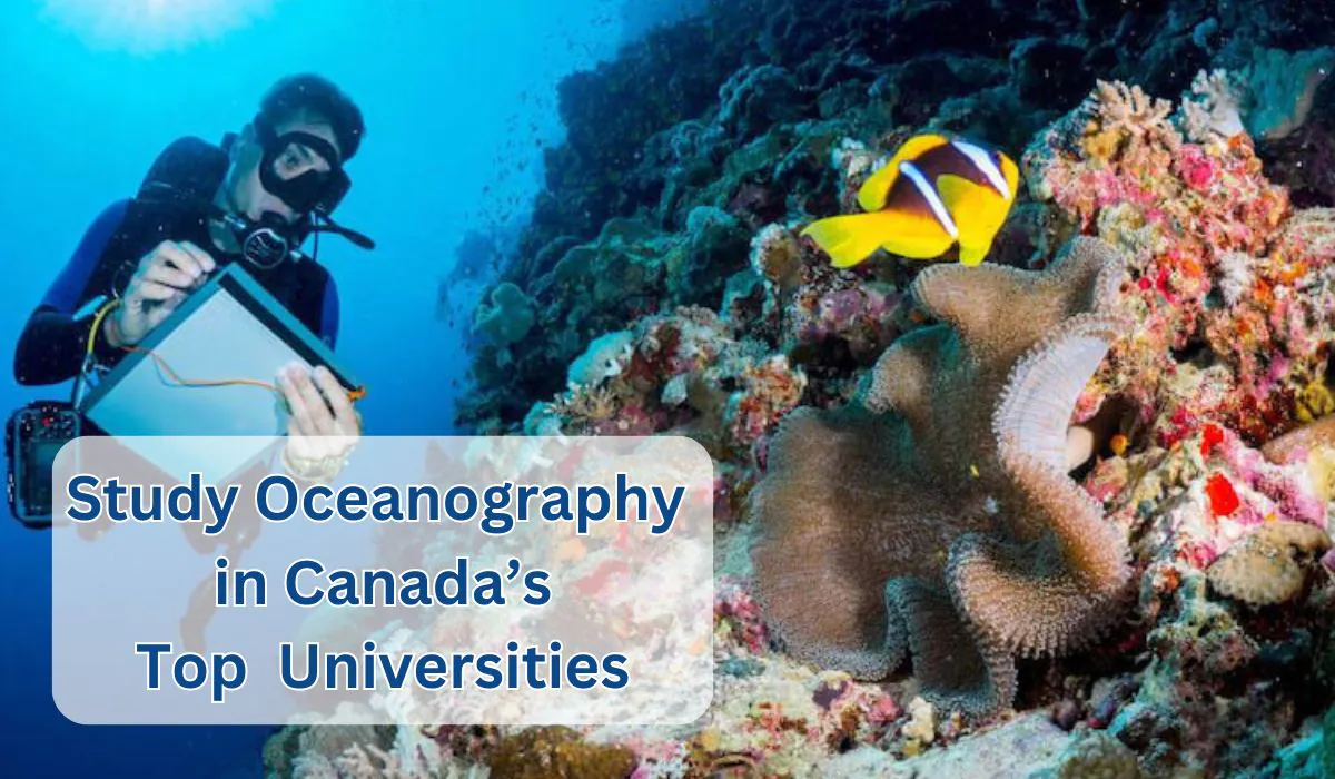 Where can I study Oceanography in Canada? | Top 5 Universities 1 Universities for Artificial Intelligence in Canada (1)
