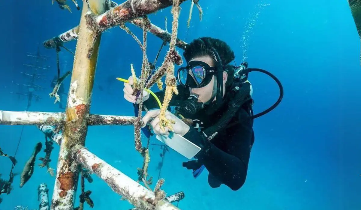 What to Expect from Eckerd College's Marine Biology and Ecology Course : From Coral Reefs to Coastal Ecosystems 1 University-of-Calgary-2